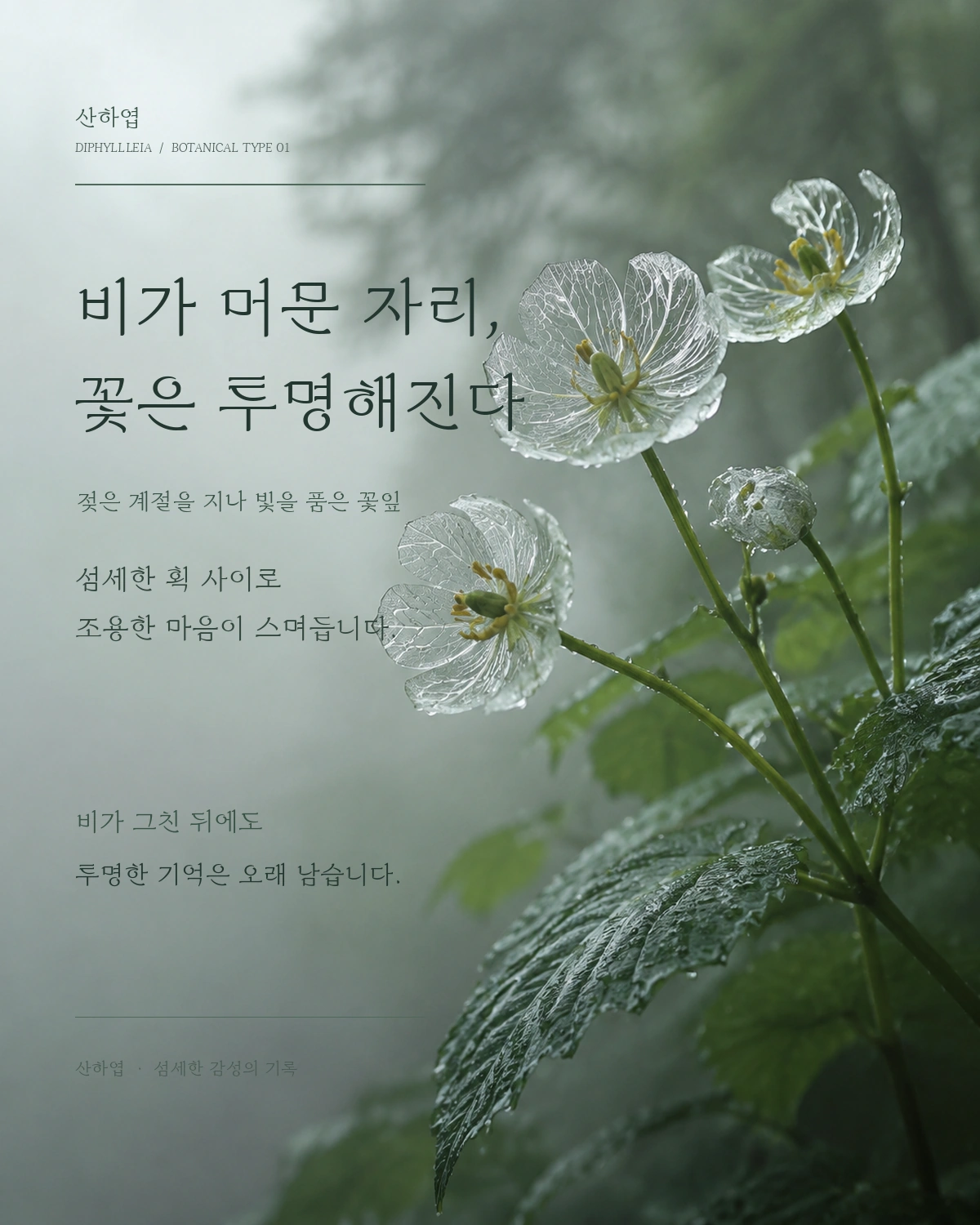 무료폰트 산하엽 활용 예시